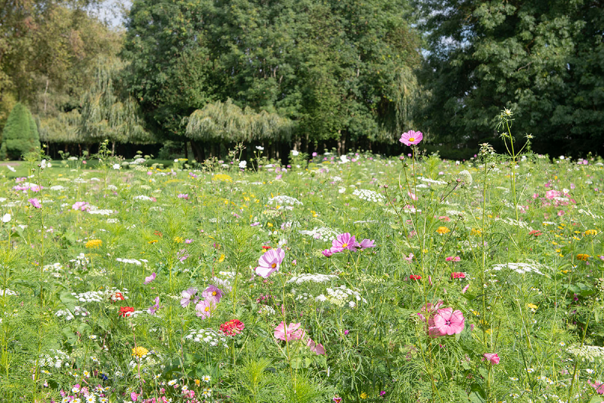 Sustainable events in Taunton.